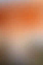 a bride in a white gown and long veil posing in front of Lincoln Shoe Co. in Lititz Pennsylvania