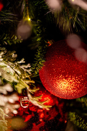 wedding and engagement rings on a red Christmas ornament in a Christmas tree