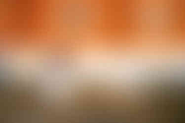 a groom dipping his bride with a white veil blowing in the wind in front of Lincoln Shoe Co. in Lititz Pennsylvania