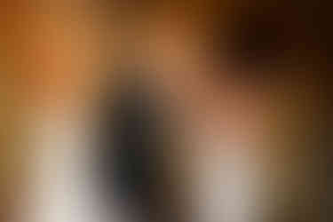 bride and groom kissing with cake at The Highlawn