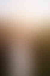 a bride posing during golden hour