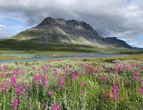 Kungsleden: Abisko-Vakkotavare 