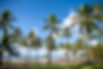 Sonhe, Viva, Reserve: Sua Aventura no Costa do Sauípe Terra Resort Espera por Você com a Red Gold Hotéis & Resorts!