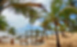 As Belezas Naturais que Cercam o Costa do Sauípe Terra Resort