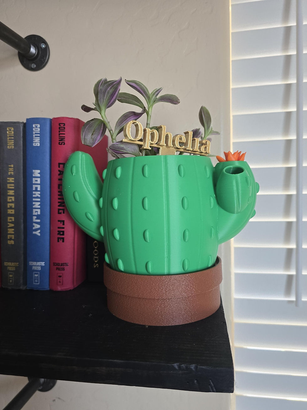 Cactus Planter with Refillable Water Reservoir, Blooming Flower Water Indicator, Cute Desk Plant Pot
