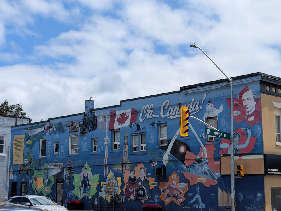 From the Auroran - Ward 2 candidate Daust calls for "considerate sustainable growth"
