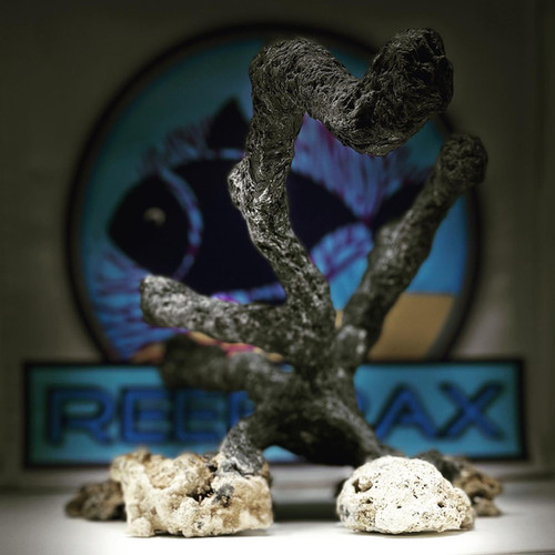 Custom aquascape reefrax