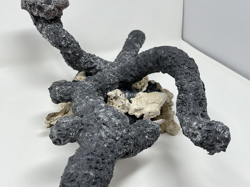 Thumbnail: 13.5 Gallon Nuvo custom Aquascape 1