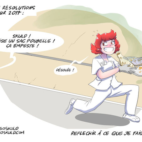 Bonne année 2017 !