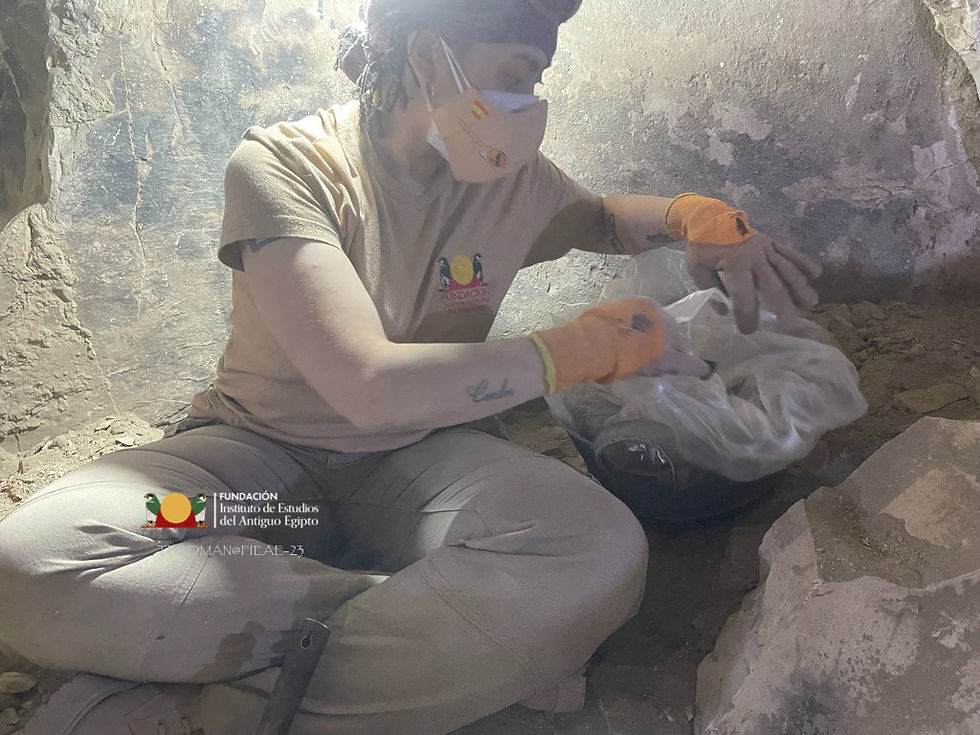 9828919a-d5dc-4e8c-8ce5-c9b1e8859fee