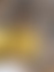 Which UGC Approved Distance Education Colleges in Bangalore Are Best?