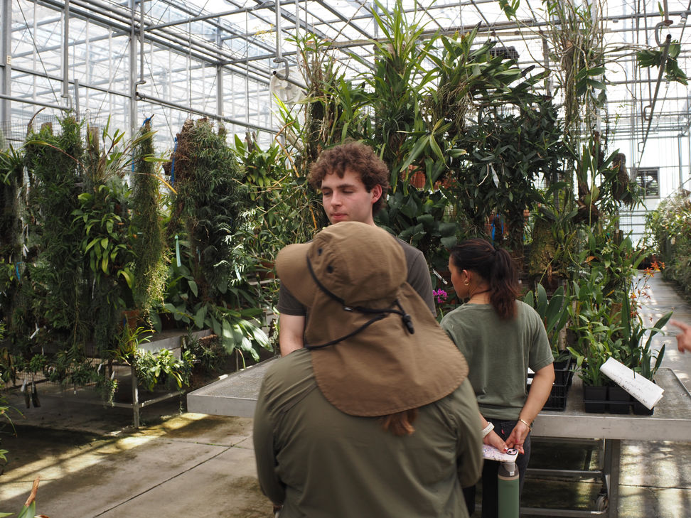 Tour or orchid collection