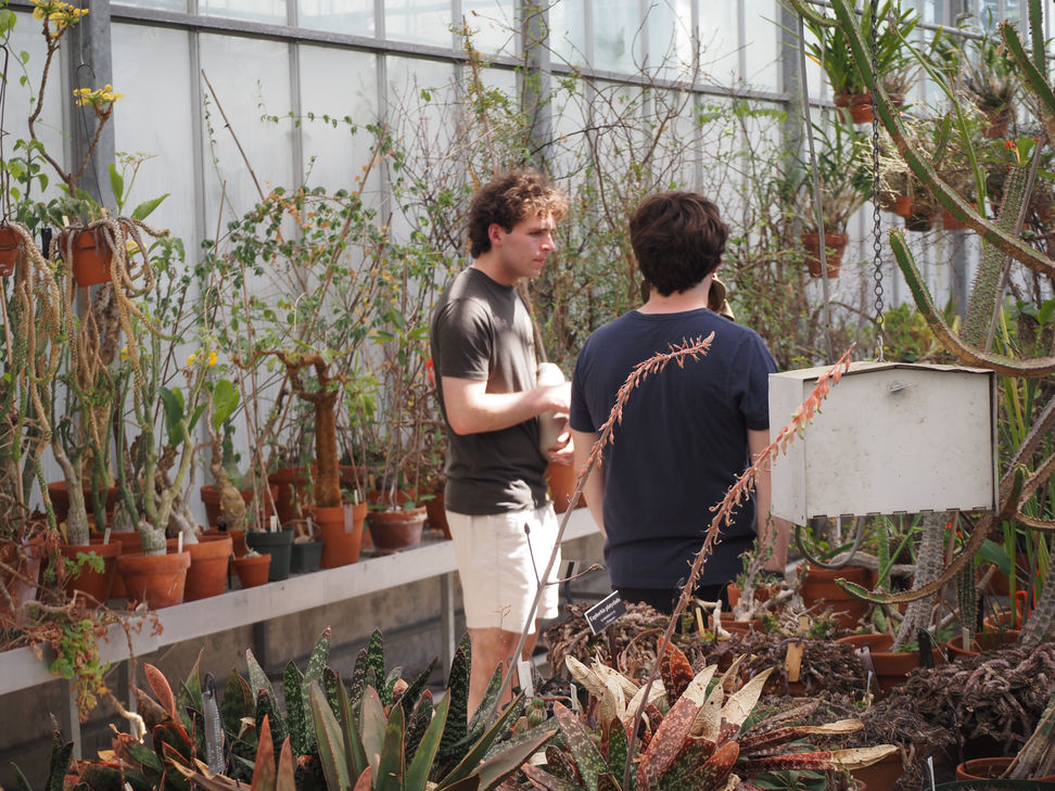 Members in arid Greenhouse