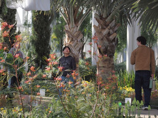 Members admiring Longwood Garden's displays