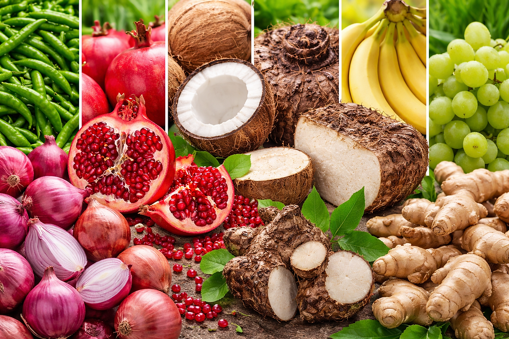 ChatGPT Image Feb 4, 2026, 01_04_39 PM.png