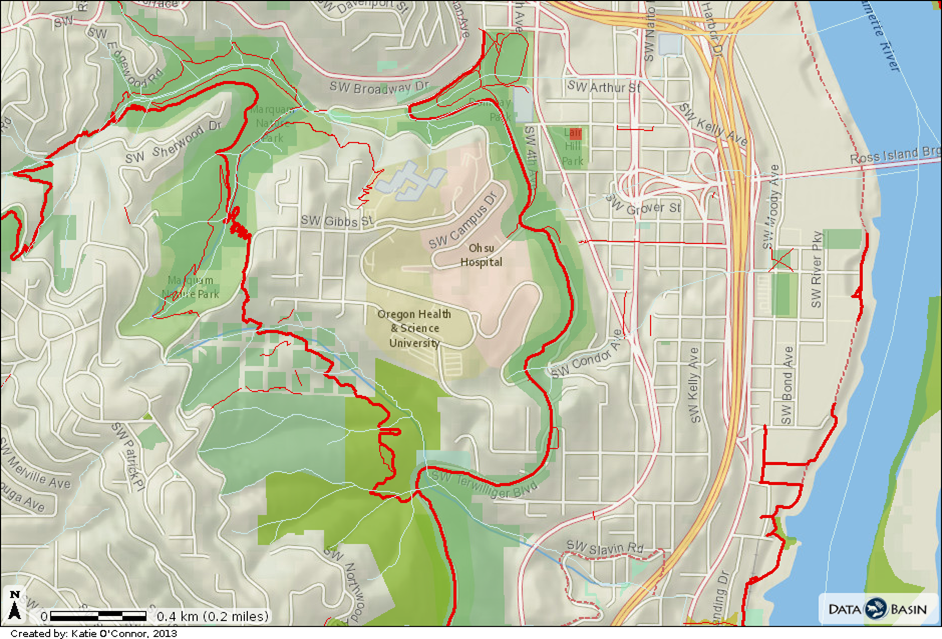 OHSU, Marquam, Terwilliger