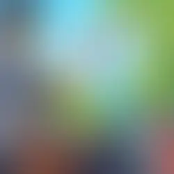 SQOK - A Seagull Simulator Game