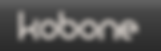 Logo-Kobone
