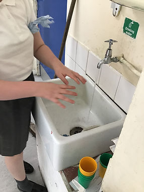 Importance of Washing Hands