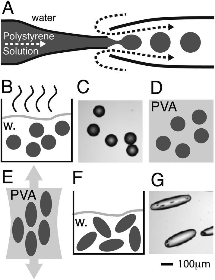 pap105.gif