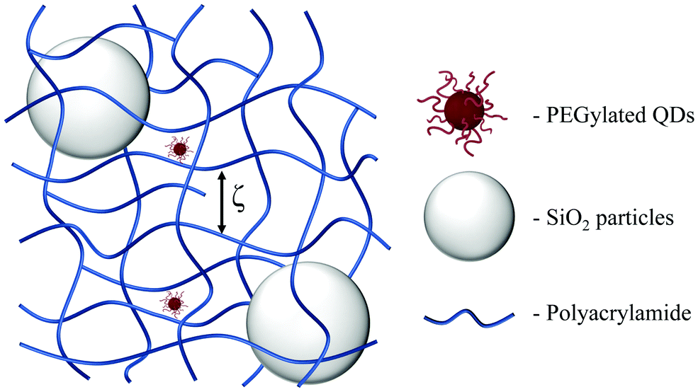 pap2.gif