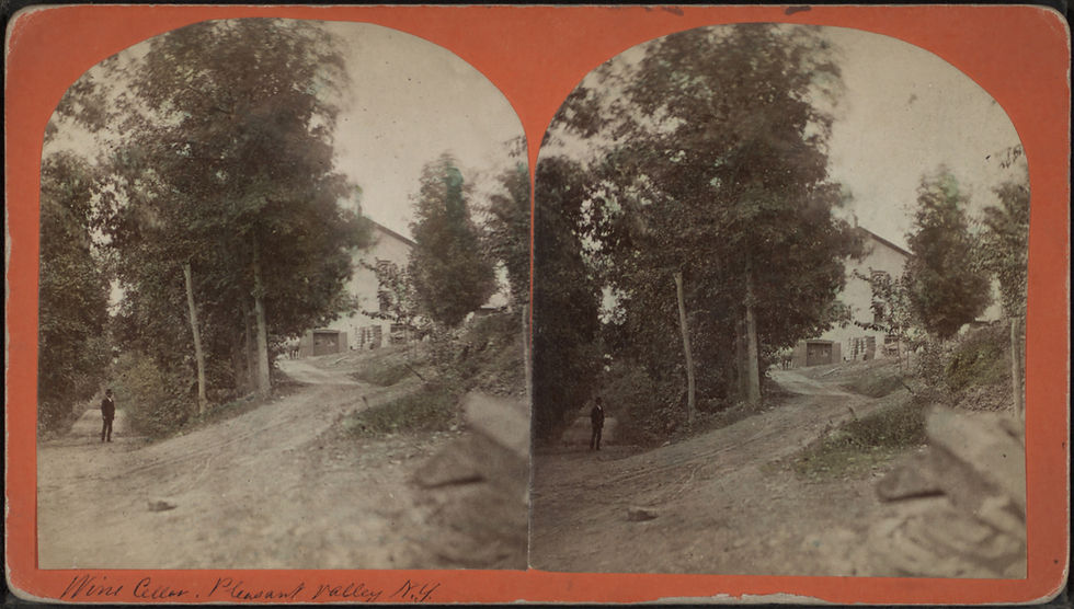 Wine_Celler_Pleasant_Valley_N.Y_from_Robert_N._Dennis_collection_of_stereoscopic_views.jpg