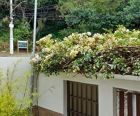 Casa - Praia do Ribeiro - Vila Velha/ES