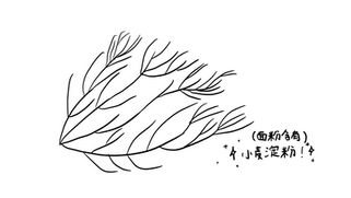 Untitled_Artwork 127.png