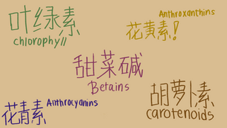 Untitled_Artwork 137.png