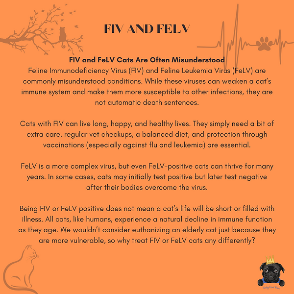 FIV AND FELV (1).png