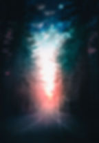 Back Cover No Figures V2_edited.jpg