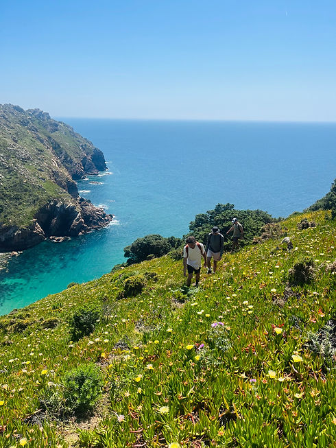 Sintra Hike