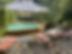 89647_661_523.jpg