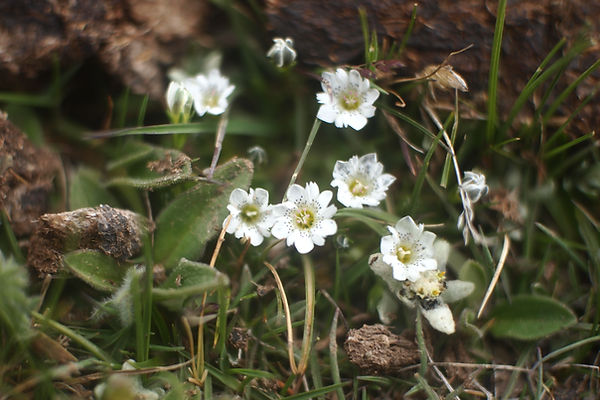 P1010138.JPG