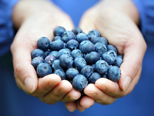 How to Heal Your Relationship With Food