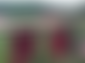 FIELD CLOSED?  SMARTPITCH IS ALWAYS OPEN!!