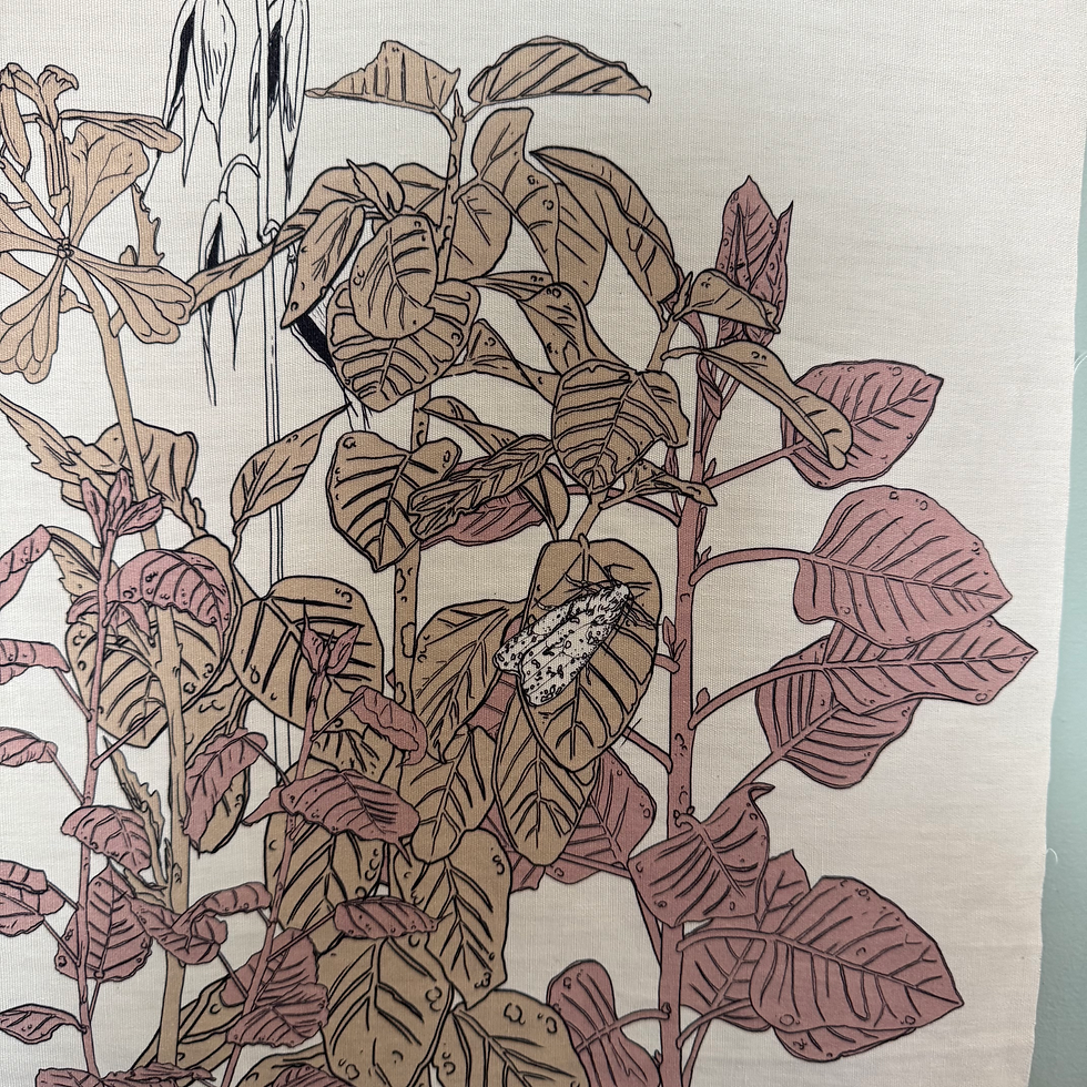 Thumbnail: PINK PLANTS