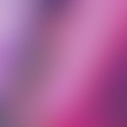 Prism [..o43..]