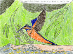 "Hummingbird" by Franklin Armstrong