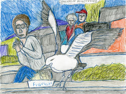 "Greedy Gull" by Franklin Armstrong