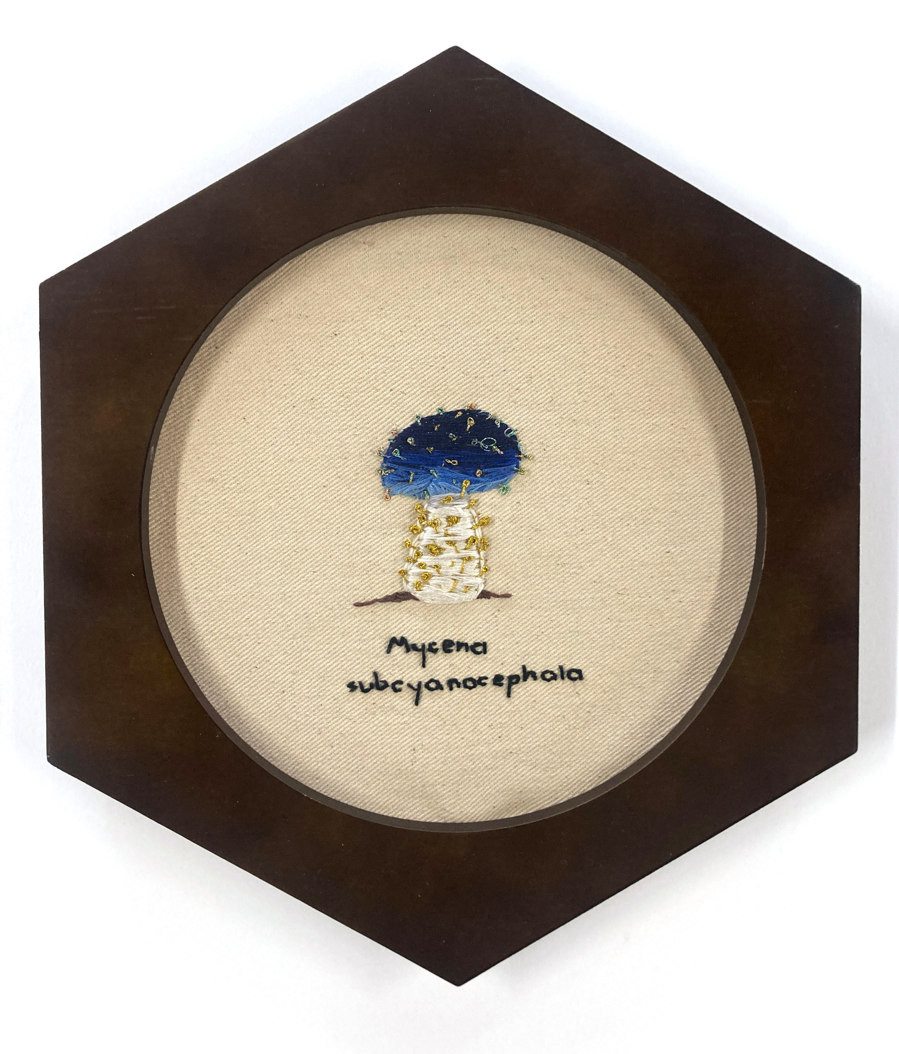 "Mycena Subcyanocephala" by Swen Swihart-DeCoster