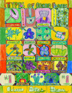 "Types of Orchids" by Adam Hines