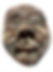 Thumbnail: "Ashen Child" by Swen Swihart-Decoster