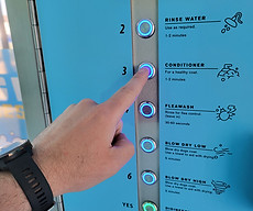 Finger choosing wash cycle options on self service dog wash