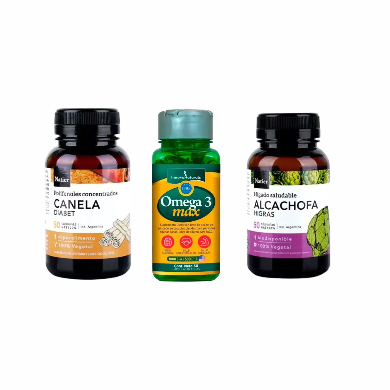 Metabolismo Activo