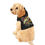 Thumbnail: Pet Hoodie