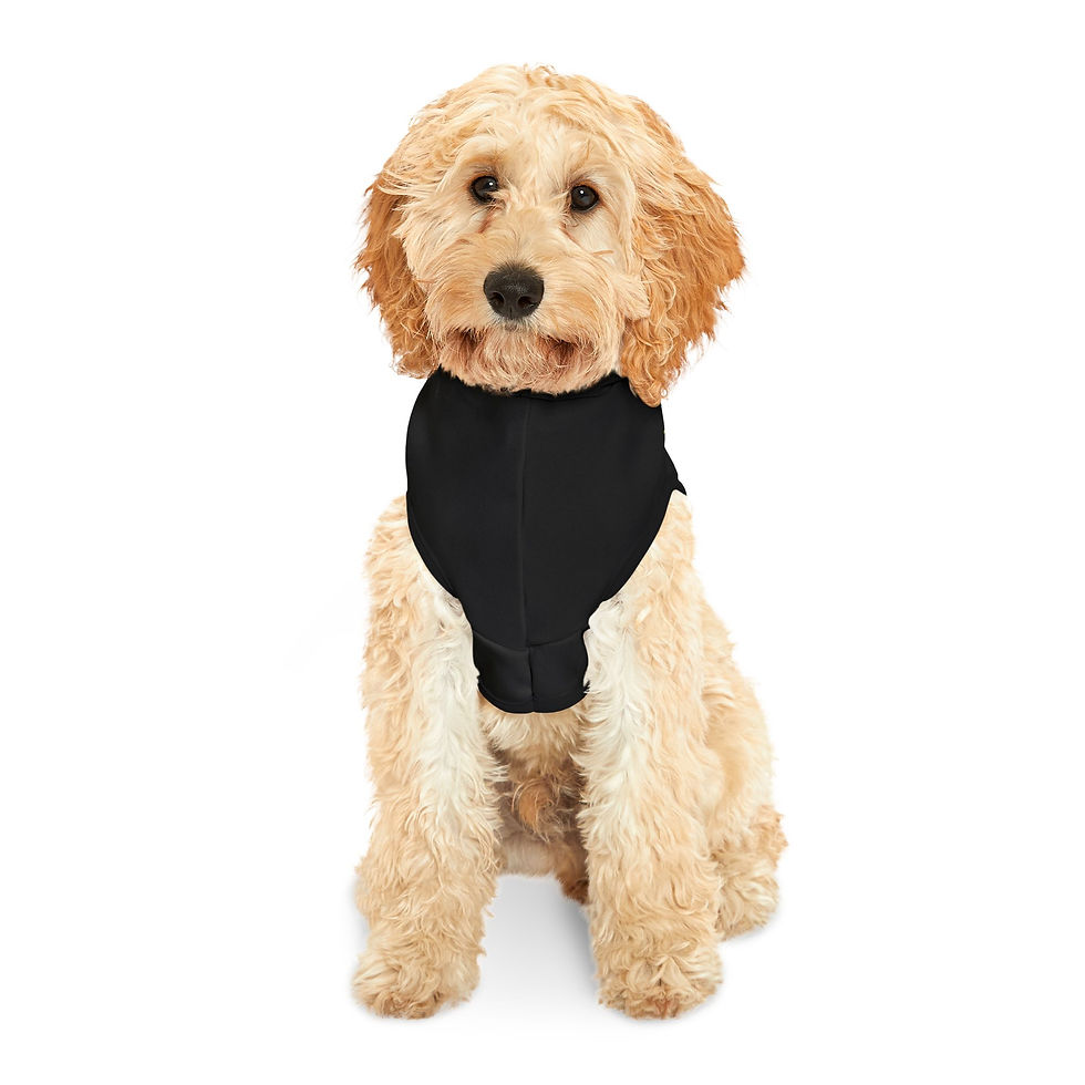 Thumbnail: Pet Hoodie