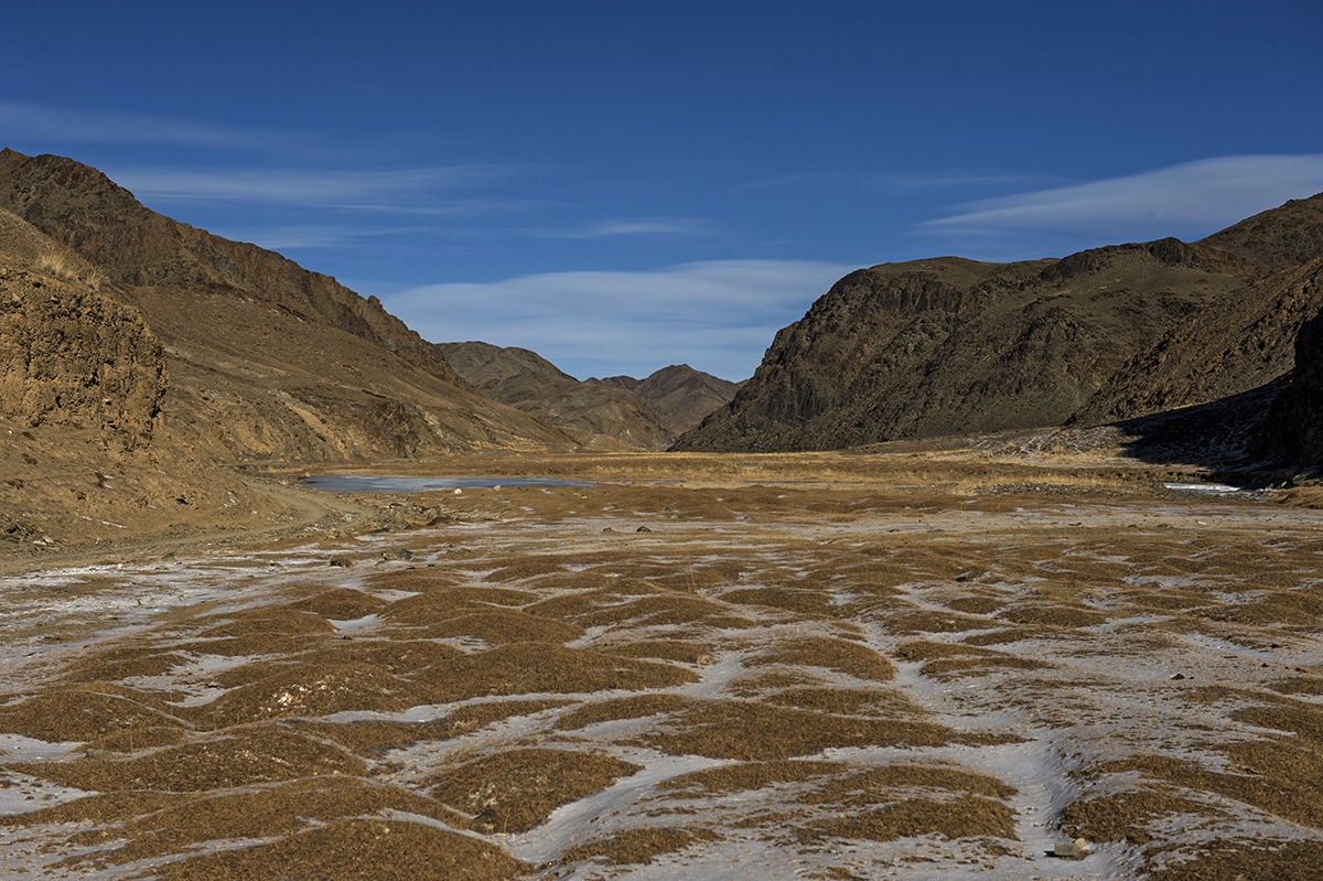 _DSC9007