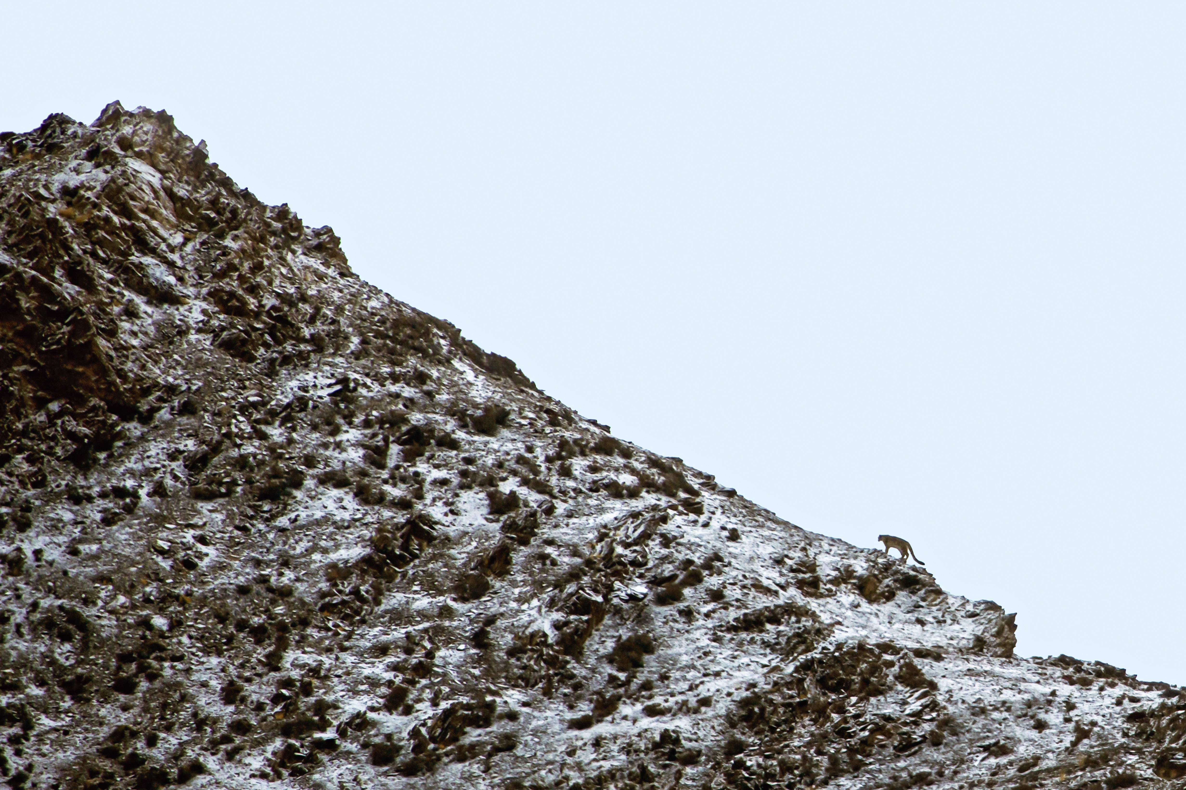 _DSC6210_C
