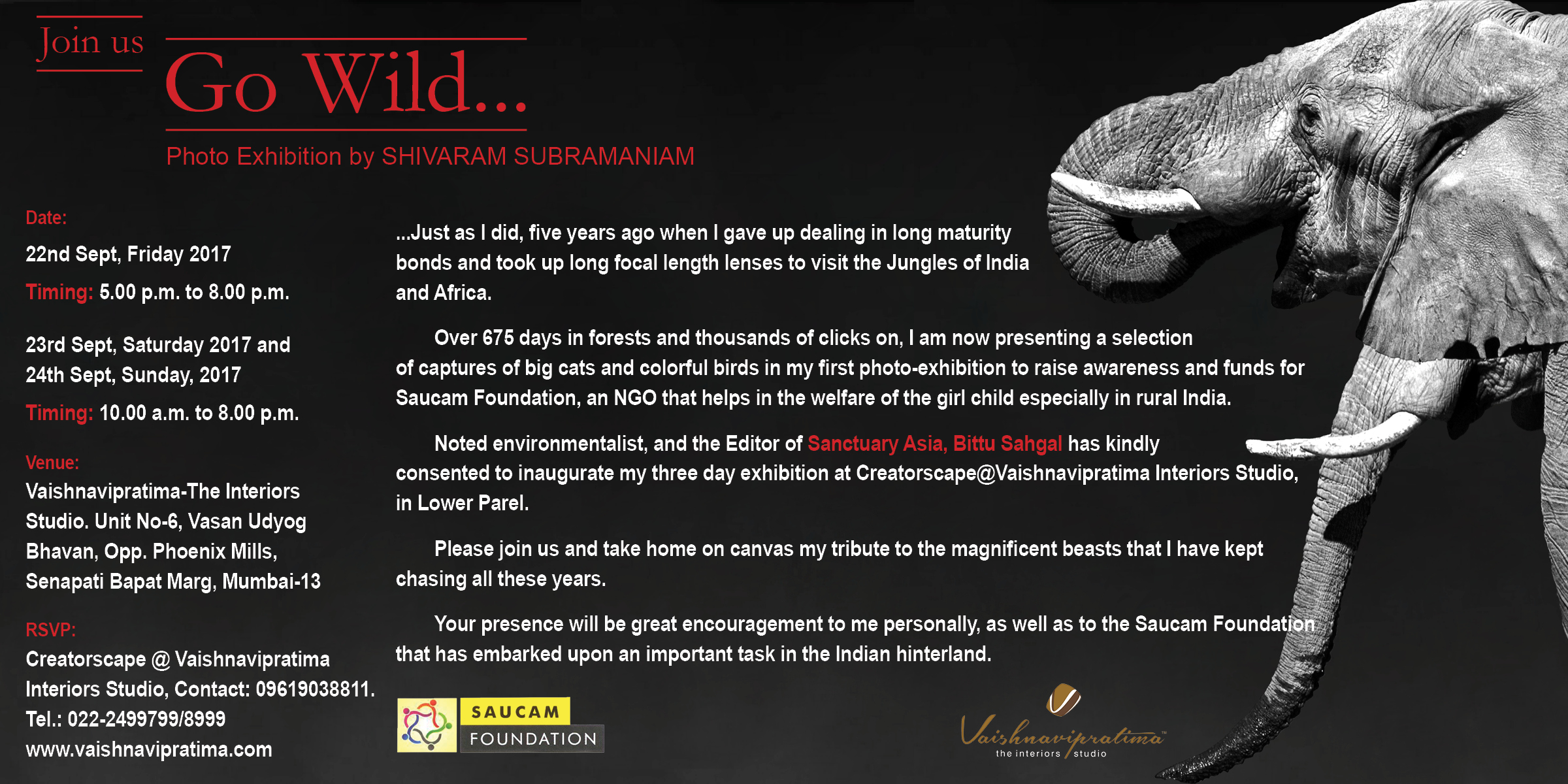 Exhibition (3)